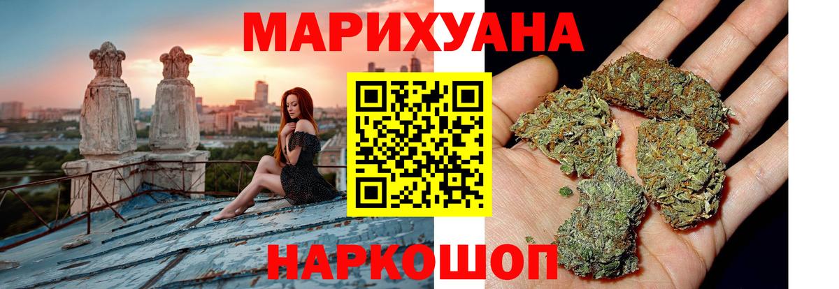 Каннабис сатива Кувандык